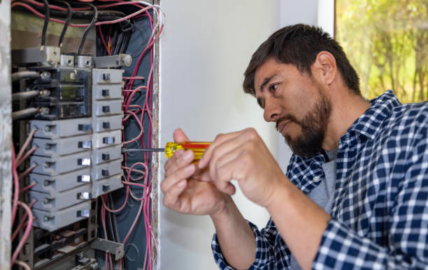 Best Electrical Upgrades for Homes  in Osseo, WI